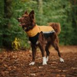 Body softshell & fleece geel (met ritsen) - Afbeelding 3