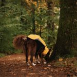 Body softshell & fleece geel (met ritsen) - Afbeelding 4