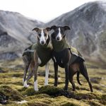 Softshell body + fleece body naar keuze 10% korting (combideal)