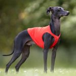 Coursing dekjes - 2 stuks - Afbeelding 2