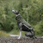 Body softshell donkergroen (met ritsen) - Afbeelding 2