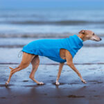 Fleece body aqua - Afbeelding 2