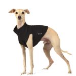 Katoenen body kort zwart - Afbeelding 2