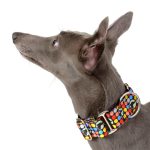 Martingale halsband stippen windhond - Afbeelding 2