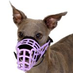 Neusband voor muilkorf - Afbeelding 6