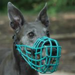 Neusband voor muilkorf - Afbeelding 3