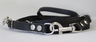 leather dog leash