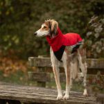 Body softshell rood (met ritsen) - Afbeelding 2