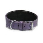 Leren windhonden halsband - Paars