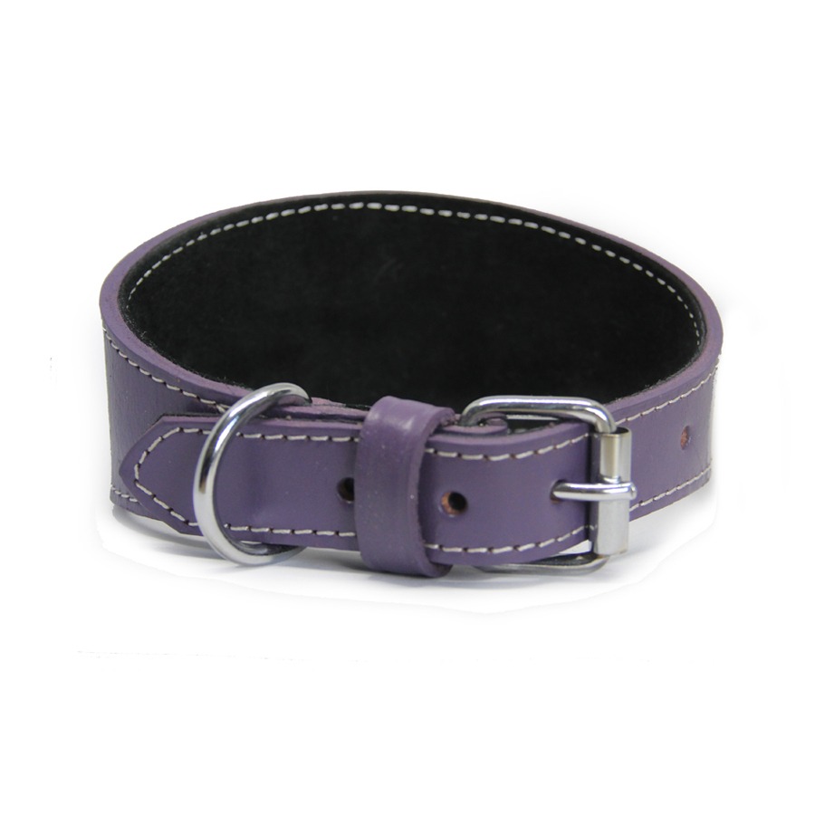 purple1 Leren windhonden halsband - Paars - Afbeelding 1