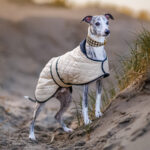 Windhonden winterjas quilted beige - Afbeelding 2