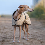 Windhonden winterjas quilted beige - Afbeelding 3