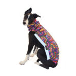 Body softshell regenbogen (met ritsen) - Afbeelding 3