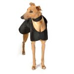 Regenjas Zwart - Afbeelding 2