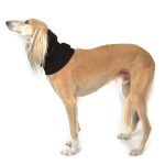 Snood (kol) fleece zwart