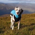 Body softshell aqua (met ritsen) - Afbeelding 4