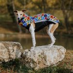 Gilet softshell fleurs - Afbeelding 3