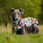 Body softshell & fleece driehoeken (met ritsen) - Afbeelding 2