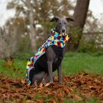 Body softshell & fleece driehoeken (met ritsen) - Afbeelding 3