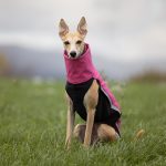 Body softshell & fleece roze (met ritsen) - Afbeelding 2