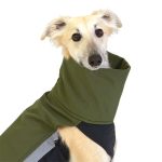 Body softshell donkergroen (met ritsen) - Afbeelding 6