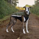 Body softshell donkergroen (met ritsen) - Afbeelding 5