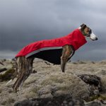 Body softshell rood (met ritsen) - Afbeelding 5