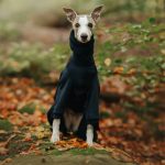 Pyjama windhond donkerblauw - Afbeelding 2