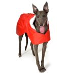 Winterjas Rood - Afbeelding 2