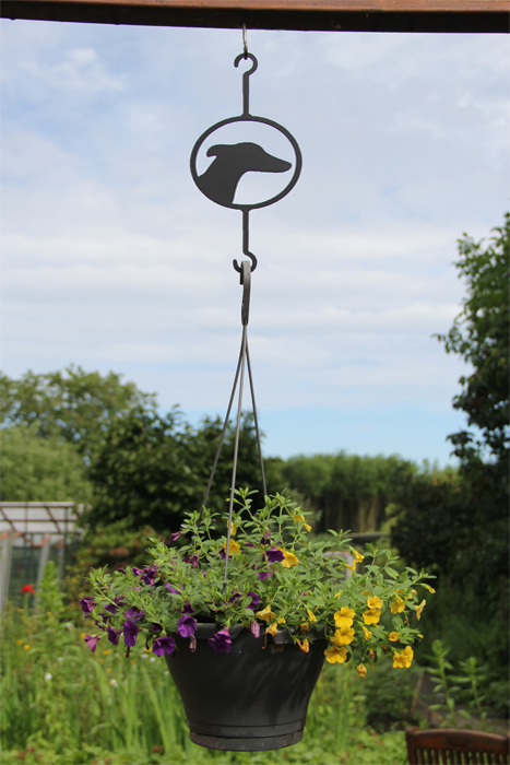 Greyhound plant hanger