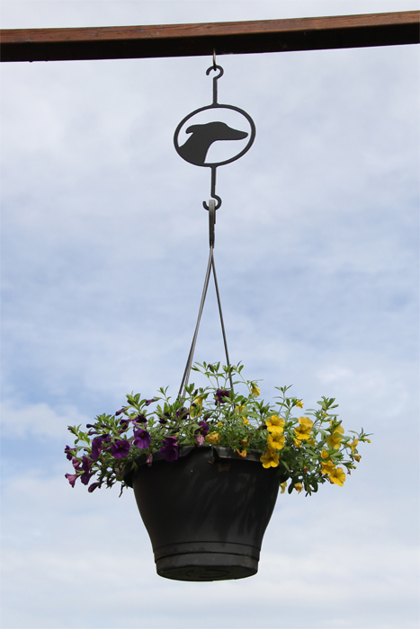 Greyhound plant hanger